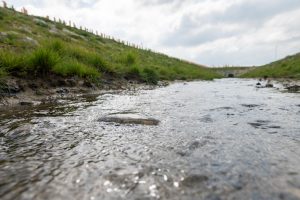 aco-water-300x200.jpg
