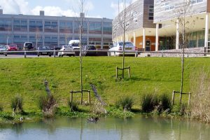 Hazeley-south-car-park-pond-and-school-crop-300x200.jpg