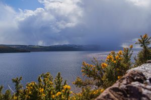 Loch-Ness-Shutterstock-300x200.jpg