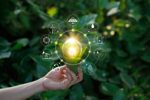 shutterstock_767486674-Sustainability-300x200.jpg