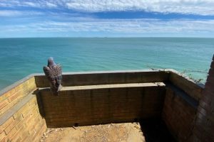 Views of Sandown Bay from the lookout point at the end of the proposed domestic tunnel